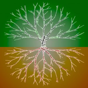 Two ways to improve the metaphors you use